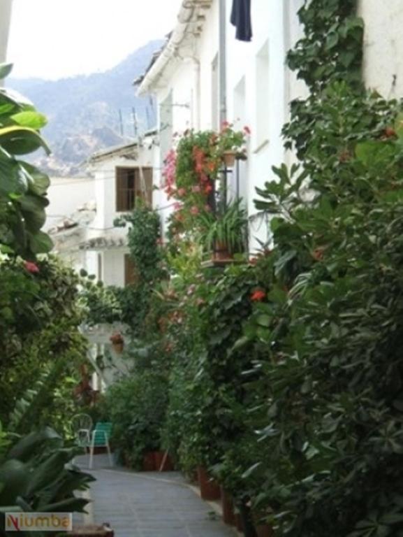Vivienda Turistica Arabeluj Guejar Sierra Exterior foto